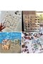 Magnetic Seashell and Jewelry Display Box,36 Grids,Clear Storage Case for Gemstones and Crystals - 5