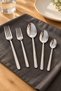 Lilyum 60 Piece 18/10 Stainless Steel Fork Spoon Set