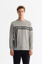 Men's Gray Crew Neck Cotton Printed Elastane Regular Fit Sweatshirt A42Y1284