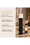 Celeste Premium Aroma Oil 500ml | Leather & Woody Essential Oil Blend | Luxury Long Lasting Home Fragrance Oil - 5