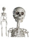 Posable Skeleton,Full Body Skeleton with Movable Joint,Life Size Skeleton Weatherproof Human Bones Body Prop for Graveyard Decor,House Haunted - 2