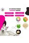 Cat & Dog Shampoo Bath Brush & Deodorizer (Deworming Shampoo + Brush) - 3
