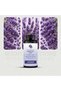 Essential Oil - Lavender