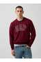 V-Intx Athletic Intarsia Sweater 910050003 Bordo