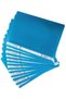 Clear File Folders A4 Size, 12-Pack, Assorted Colours (LIGHT BLUE)