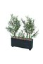 Artificial Olive Tree in Plastic Elegant Design - Black - 60X30X100 cm - 3