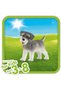 13892 Schnauzer Miniatural - 3