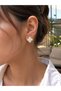Clover Model Steel Women's Earrings