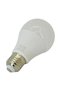 LED bulb 7W white light