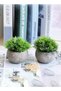Mini Artificial Plants Set 2 Pcs Small Fake Plants for Office Kitchen Bathroom Bedroom Mantle Shelf Living Room Faux Plants in Pots Modern Farmhouse Plants Home Decor - 5