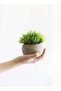 Mini Artificial Plants Set 2 Pcs Small Fake Plants for Office Kitchen Bathroom Bedroom Mantle Shelf Living Room Faux Plants in Pots Modern Farmhouse Plants Home Decor - 2
