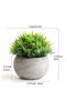 Mini Artificial Plants Set 2 Pcs Small Fake Plants for Office Kitchen Bathroom Bedroom Mantle Shelf Living Room Faux Plants in Pots Modern Farmhouse Plants Home Decor - 3