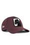 Panter Logo Six Brown Baseball Cap