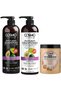 Cosmo Hair Care Smoothing Avocado Hair Treatment Set Pack Of 3 | Shampoo, Conditioner & Hot Carrot Oil Treatment Cream | Sulfates & Parabens Free | Shiny & Soft Formula | For All Hairs Types