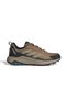 Terrex anylander men's outdoor shoe brown
