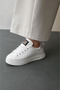Lace-Up Sneakers with Crest - White - 2