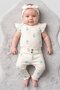 Toddlers Girls 3 Pcs Floral Print Bodysuit And Pants With Headband Set, Multicolor