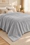 Double Welsoft Blanket 220X240 Large Size Blanket Soft Soft Textured