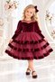 Girls' Velvet and Tulle Dress, Ideal for Special Occasions.