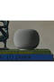 Goog.le Home Speaker, Smart Speaker with Premium Sound, Voice Assistant, Gemini for Home, Wi-Fi 6, Bluetooth 5.4, Matter Support, Hazel | Home Speaker - 2