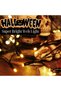 Spider Web Light 3.25ft 70 LED Waterproof Light with Black Spider for Party Patio Bar Decoration Halloween (Warm White) - 8