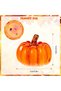 3Pcs Mini Halloween Pumpkin Lantern Battery Operated. Light up Pumpkin Table Lamp with LED Light for Halloween Indoor Outdoor Tabletop Decorations Props - 5