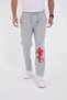 Men's Winter 3 Thread Cotton Printed Sweatpants - Gray - 2