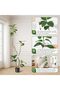 Artificial Rubber Tree, Real Touch Faux Fiddle Leaf Fig Tree with Black Resin Pot & White Stones, Tall Floor Tropical Plant Indoor Decor - 5