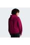 W Evolution Simple Dome Regular Hoodie Women's Sweatshirt Nf0A8Cwnmvo1 Burgundy-L - 3