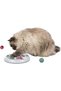 Trixie Cat Activity Flip Board 4-Compartment Treat Dispensing Cat Intelligence and Slow Feeding Toy – Blackberry Purple/Grey, 23 X 23 X 6 cm - 6