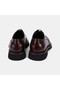 Men's Brown Laced Embossed Stitched Leather Classic Shoes - 5