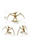 12Pcs Dinosaur Skeleton 7-9 cm Archaeology and Paleontology Stem Activity Kit, Educational Gift for Kids Good Quality - 7