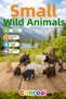 AZ3-012 PVC 10-Piece Small Wild Animal Figure Set