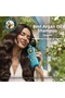 Argan Oil Shampoo 350 ml - 2