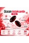 Astaxanthin 30 Capsules 2 Pack - 3