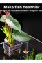 Fish Bubbles Aquarium Water Grass Cup Multiple plant hydroponics Hydroponic planting basket For fish - 6