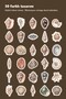 30 Pieces Classic Vintage Seashell Sticker Set - for Laptop, Notebook, Agenda - 2