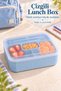 Blue Striped Lunch Box with 5 Compartments, Fork and Spoon, and Transparent Lid. - 3