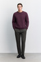 Men's Burgundy Crew Neck 3 Thread Rastered -5 Degree Resistant Regular Fit Sweatshirt A62Y1291 - 6