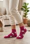 3-Piece Mixed Color Women's Cotton Patterned Seamless Towel Sole Booties Socks - Premium - 4