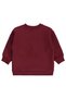 Scoop Print Sweatshirt for 2-5 Years Old - Burgundy - 3