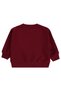 Striped Sweatshirt for 2-5 Years Old - Burgundy - 2