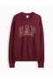 V-Intx Athletic Intarsia Sweater 910050003 Bordo - 2