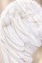 Halloween White Angel Wing 60X45 cm and Moire Angel Crown 2-Piece Halloween Costume Set - 5