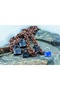 Tresor 1385/85 BK - 8