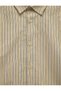 Regular Fit Cotton Classic Collar Striped Long Sleeve Poplin Shirt - 3