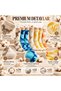 Unisex Batik Patterned Socks Set of 10 Cotton Colorful Long Socks Seamless Breathable Daily Sports Socks - 3
