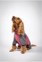 ™   Drypack Dog Raincoat, Collar and Harness Compatible, Reflective, Easy to Wear Waterproof Back Zipper, 4 Leg Overalls - 2
