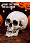 Simulated Plastic Bones Sculpture Bones Suitable for Bar Parties Holiday Decorations Haunted House Bar Props Halloween