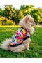 Dog Cat Colorful t Shirt - 2